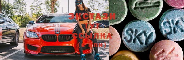 индика Кинешма