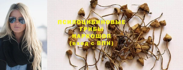 каннабис Алзамай