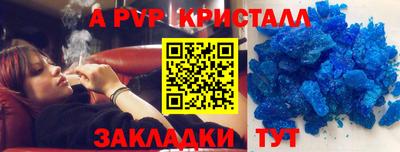 скорость Кингисепп