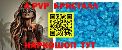 скорость Кингисепп
