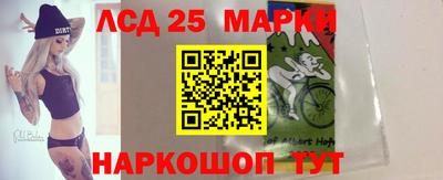 скорость Кингисепп