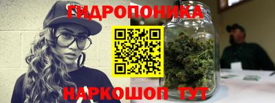 гидра Кинель