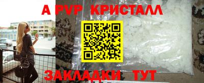 скорость Кингисепп