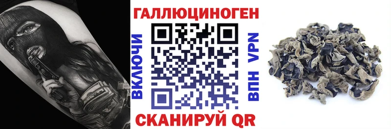 кракен как зайти  Красноуфимск  Галлюциногенные грибы Psilocybe 