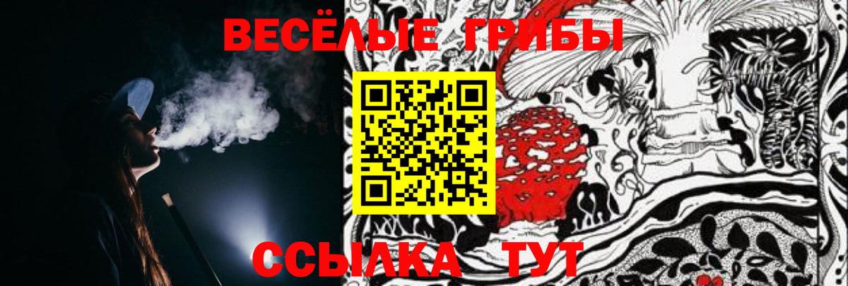 Галлюциногенные грибы Cubensis  Вход с VPN  Красноуфимск 